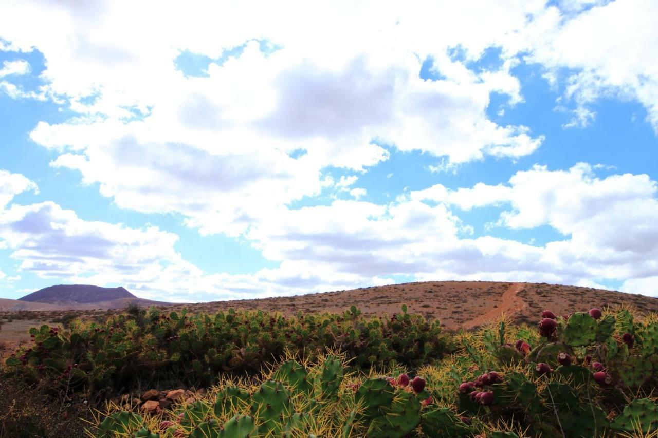 Montana Valles De Ortega - A ภายนอก รูปภาพ